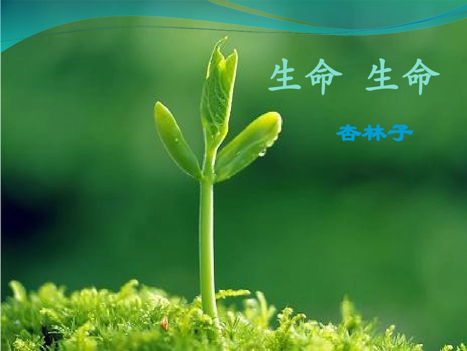 19.生命生命_第1页