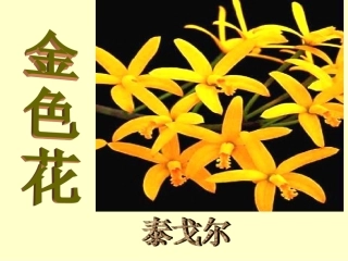 散文诗两篇.