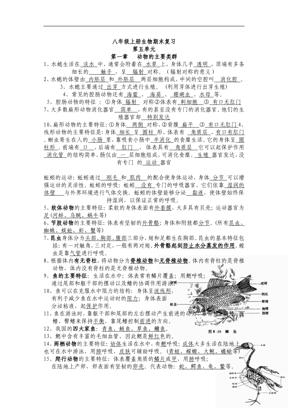 八年级上册生物阶段性考试_第1页