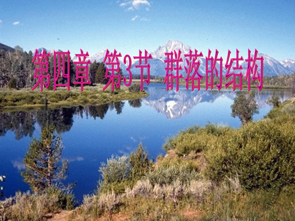 4.3《群落的结构》课件_第1页