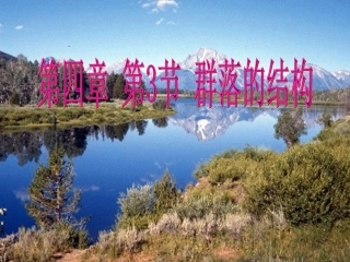 4.3《群落的结构》课件