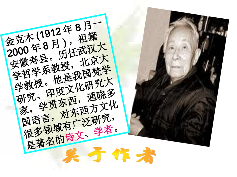 11大小猫洞_第2页