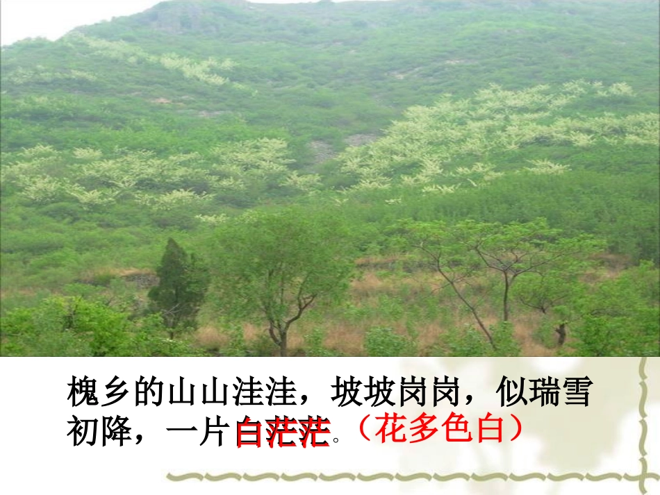 苏教版三年级语文下册《槐乡五月-2》PPT课件_第3页