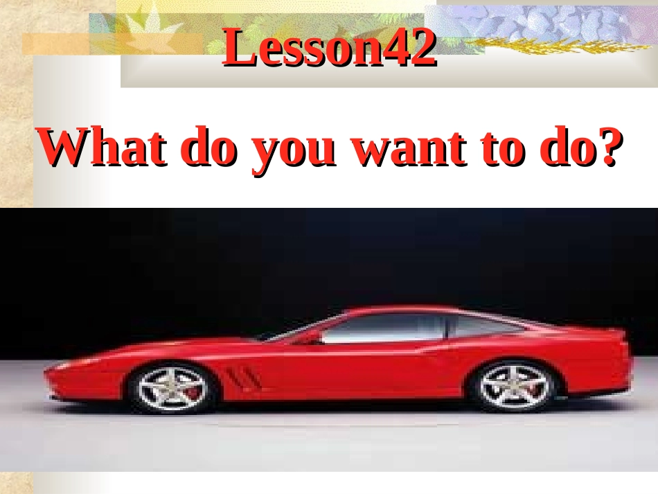 lesson42Whatdoyouwanttodo_第1页