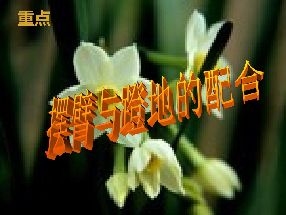 《立定跳远》课件_第3页