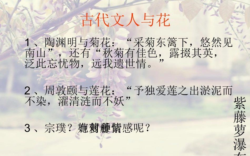 紫藤萝瀑布课件_第3页