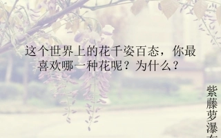 紫藤萝瀑布课件