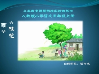 7桂花雨ppt课件1