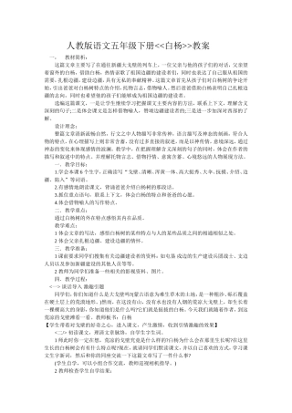 《白杨》教案