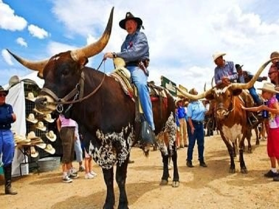 苏珊娜PPT_第3页