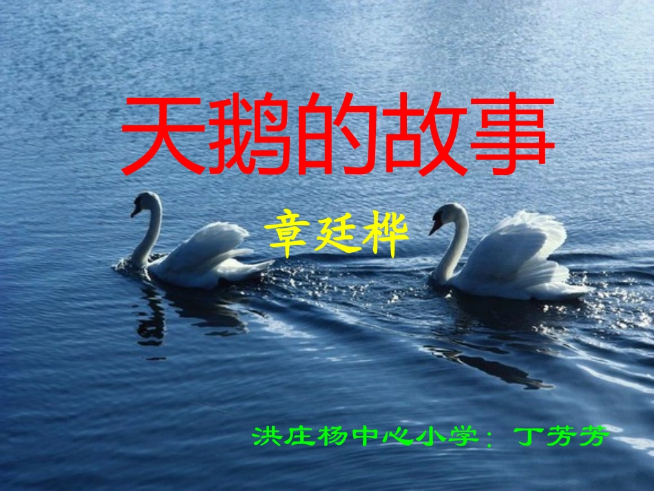《天鹅的故事》_第1页