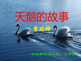 《天鹅的故事》