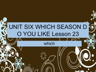 UNIT-SIX-WHICH-SEASON-DO-YOU-LIKE-Lesson-23--which