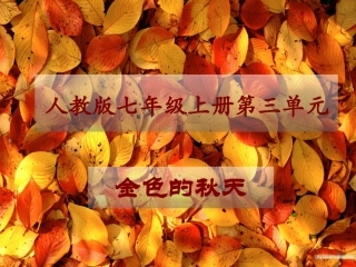 第三单元-金色的秋天