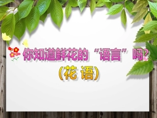 自编小学美术教材康乃馨制作示意图新成李静