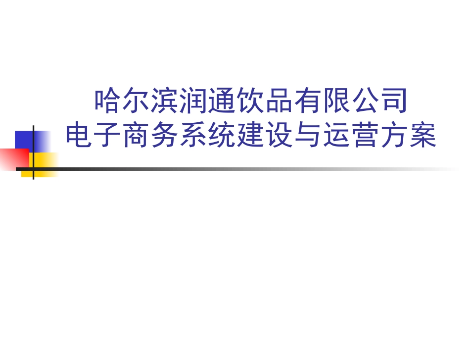 哈尔滨润通饮品有限公司电子商务系统建设与运营方案_第1页