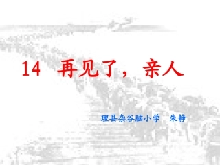 14再见了亲人课件