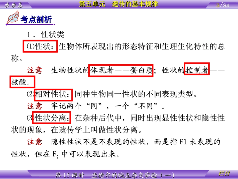 1.1《孟德尔的豌豆杂交实验》课件6_第3页