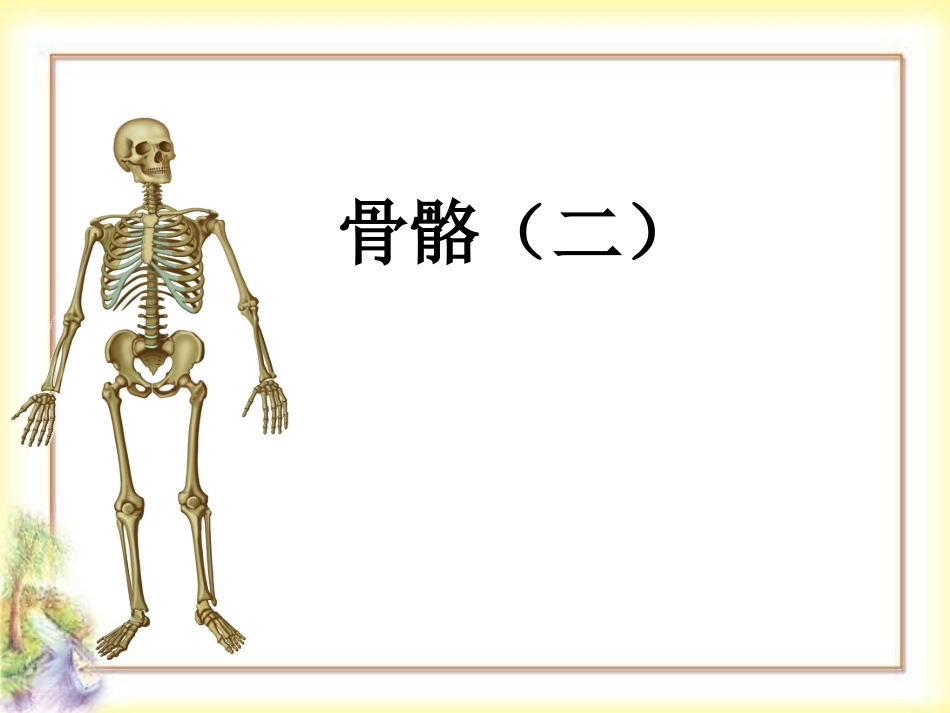 青岛版小学科学三年级下册《骨骼》PPT_第1页