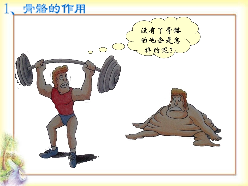 青岛版小学科学三年级下册《骨骼》PPT_第3页