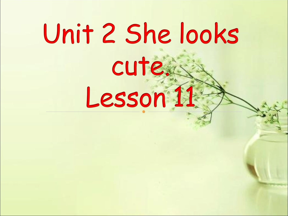 Unit-2-She-looks-cute.-Lesson-11-课件2_第1页
