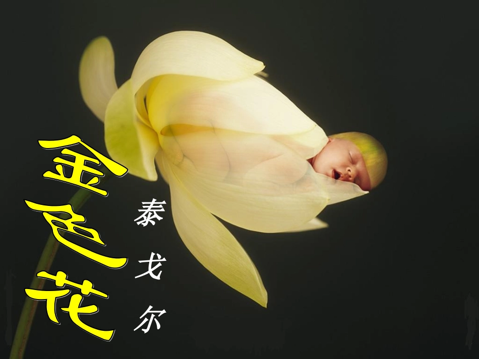 课件《金色花》_第3页