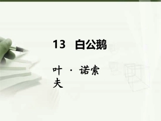 4.4白公鹅