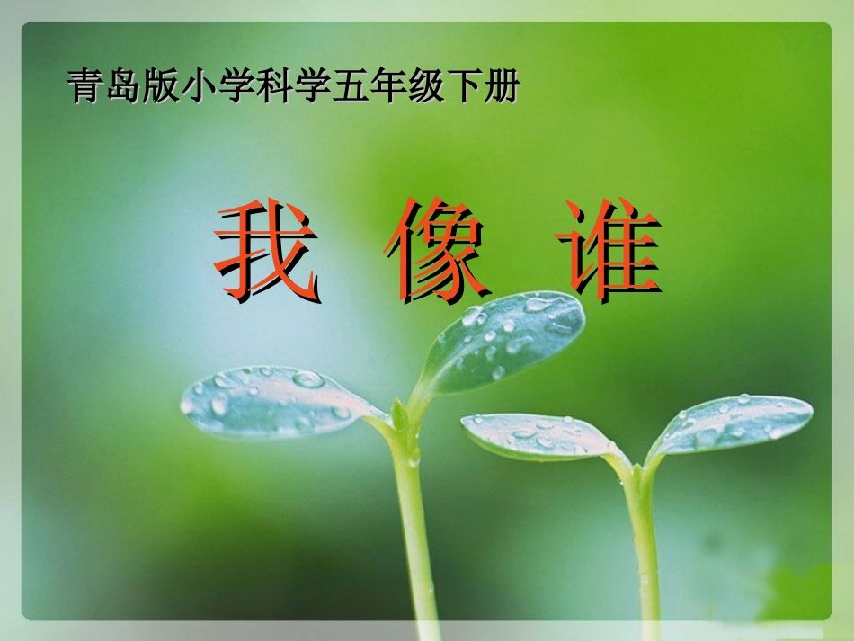青岛版小学科学六年级下册《我像谁》课件_第1页