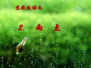 苏教版一下《雨点》.