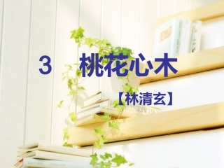 桃花心木课件
