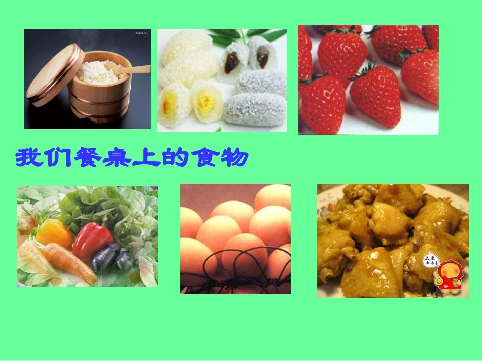 第一节-人类的食物_第3页