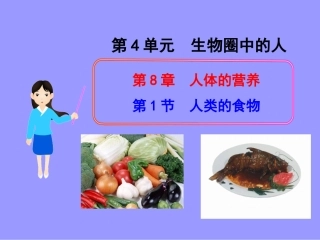 第一节-人类的食物