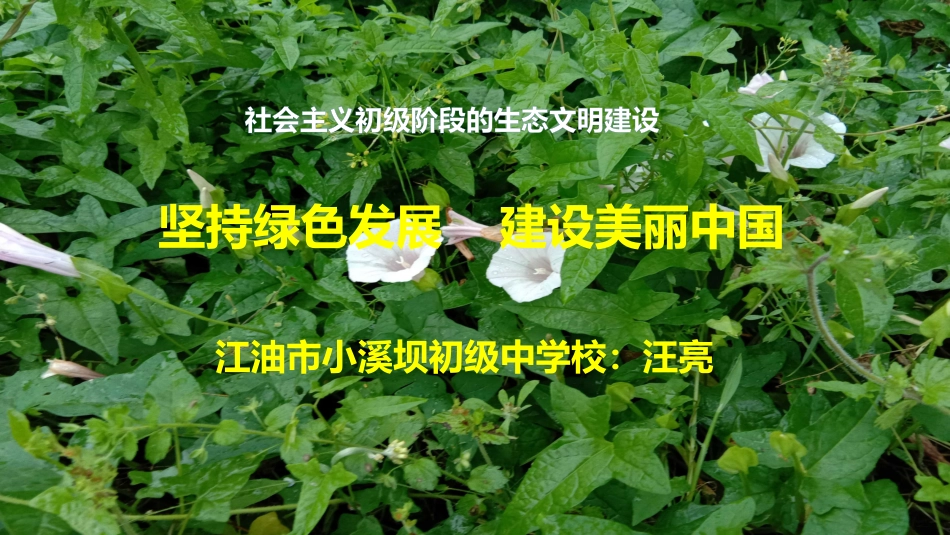 第三课做大自然的朋友_第1页