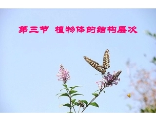 2015国培线下阿伦中学-生物-毛永菲(教学课件)