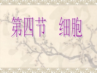 2.2-细胞(第2课时显微镜的使用)