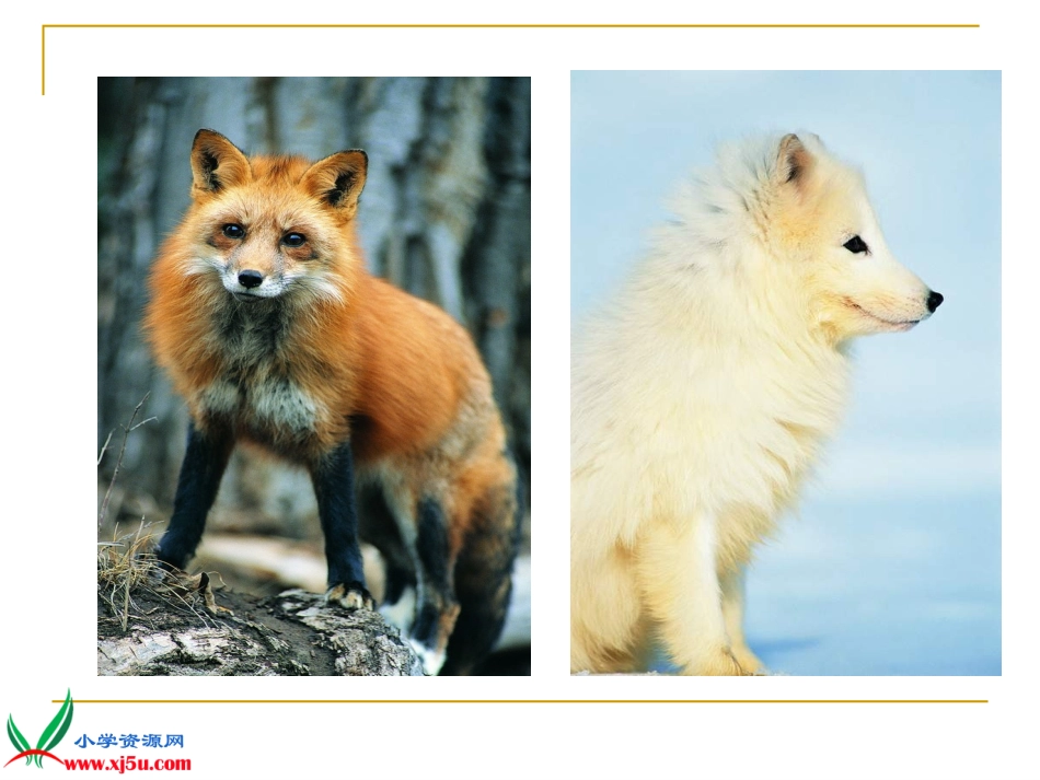 金色的脚印._第3页