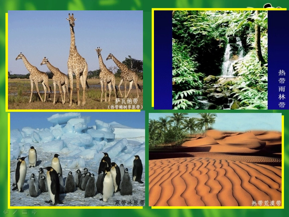 七上地理第四章第五节-影响气候的因素(课件)_第2页