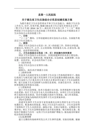 县第一人民医院湖北省卫生应急综合示范县创建工作实施方案----副本