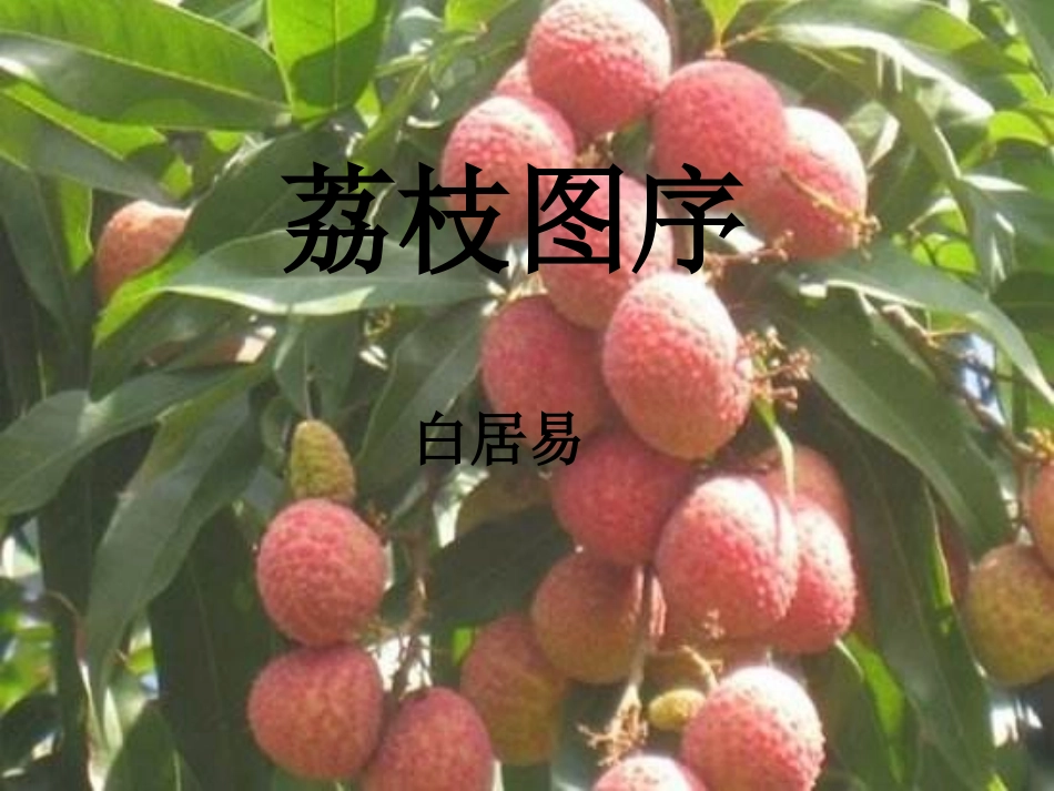 荔枝图序ppt_第1页