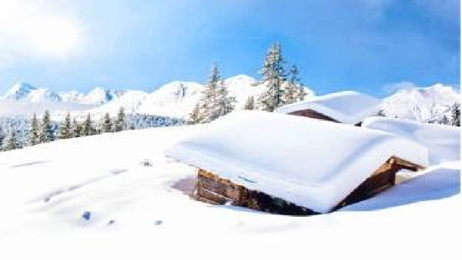 (部编)人教2011课标版一年级上册12雪地里的小画家第一课时_第1页