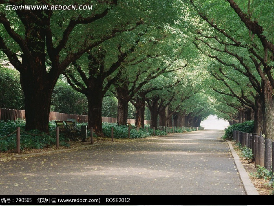 爱护水资源-_第1页