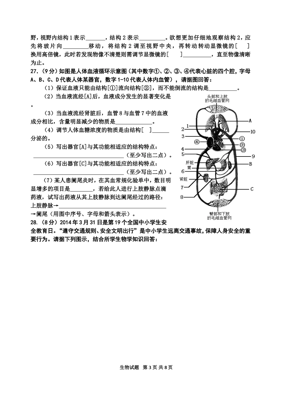 2016生物中考模拟试题(带答案)_第3页