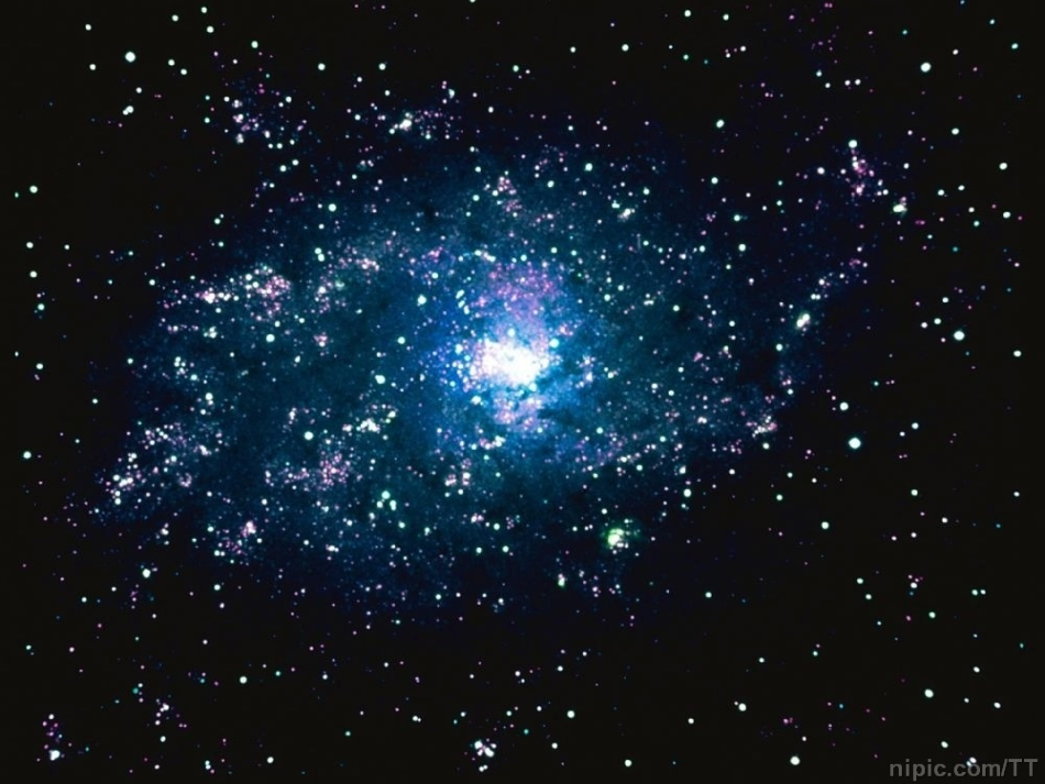 叫三声夸克好_第1页