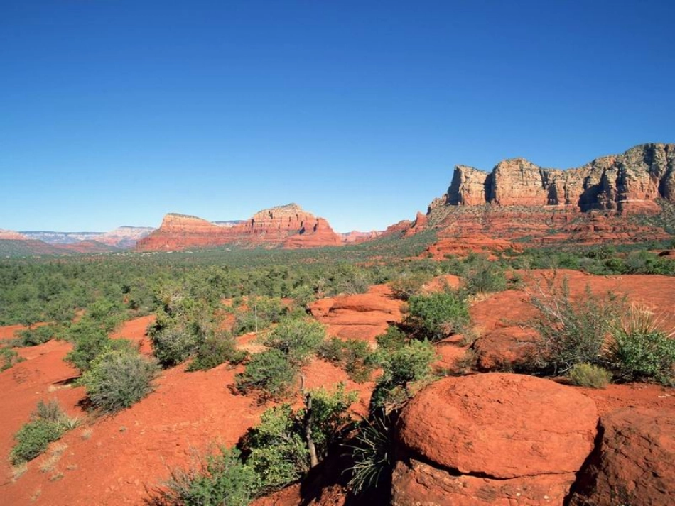 叫三声夸克好_第3页