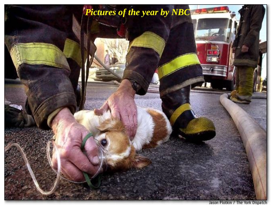 NBC年度最佳照片_第2页