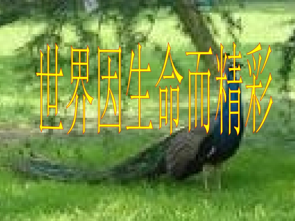 七年级世界因生命而精彩_第1页