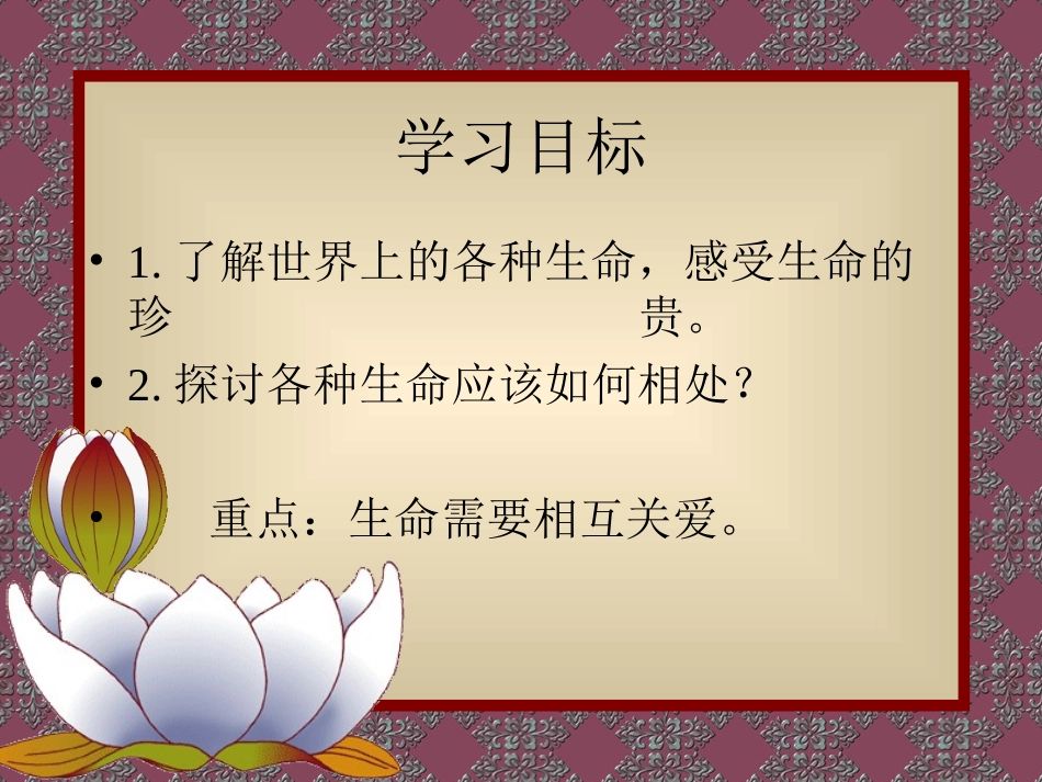 七年级世界因生命而精彩_第2页