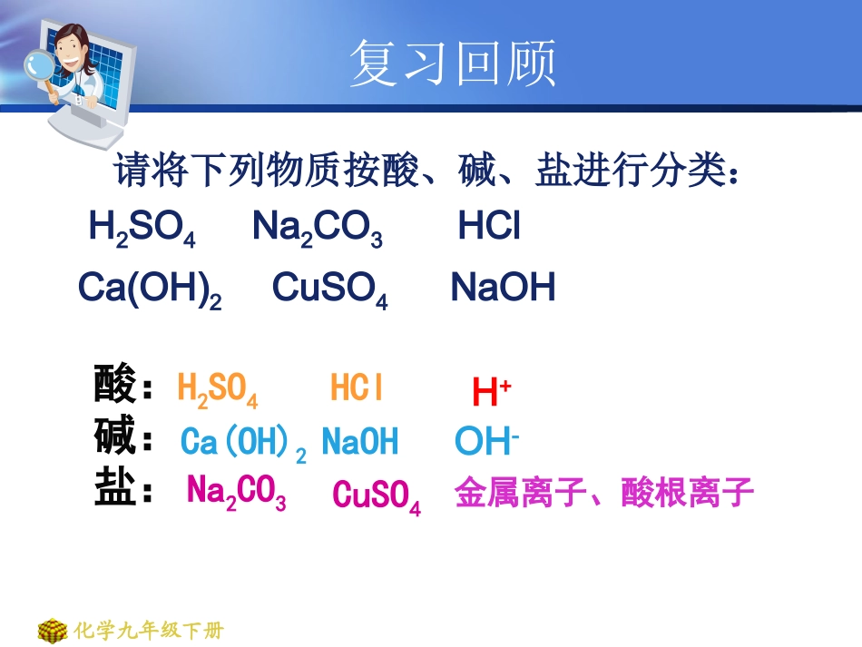 教学百花奖-盐的化学性质_第2页