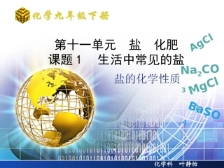 教学百花奖-盐的化学性质