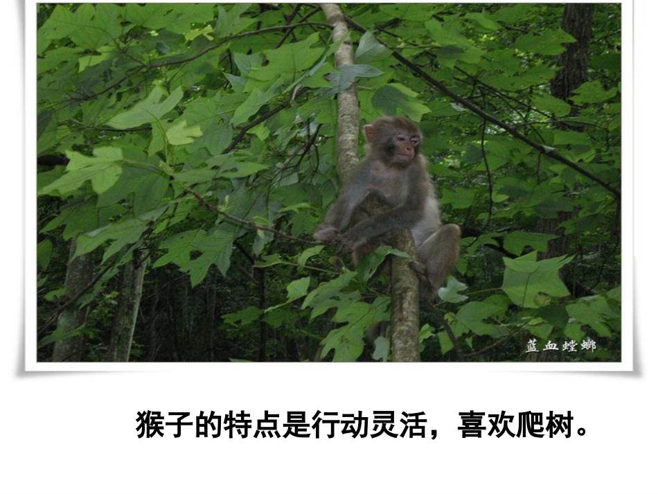 21从现在开始--张勇杰-4_第2页